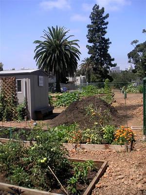 Golden Hill Community Garden