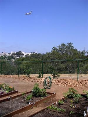 The garden is near the flight path