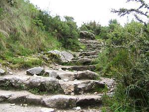 What most of the Inka Trail looks like