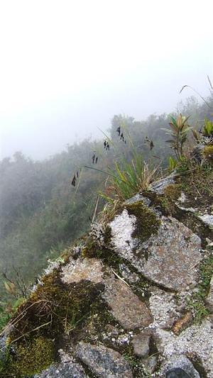 Looking straight down off the edge of the trail