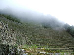 Concave terraces of Wiñawayna