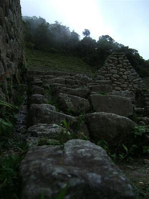 Terrace steps at Wiñawayna