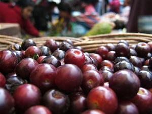 Tiny cherries.  A bit sour, but nice.