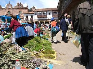 I bought a little christmas tree from one of these vendors