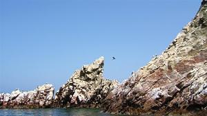 Ballestas Islands and birds