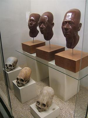 Elongated skulls of the Paracas noble