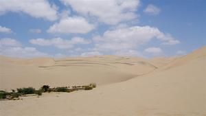 Dunes of Huacachina