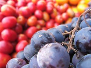 Street cart fruit