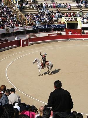 Start of the bullfight