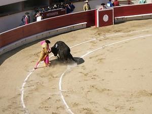 Bullfighter and bull