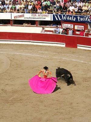 El Juli and a bull