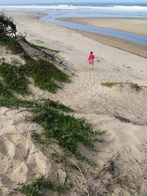 Anna, dunes and iceplants at Pismo beach