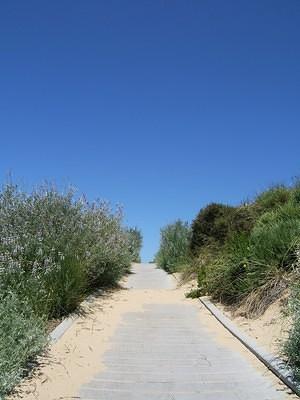 Oceano dunes path