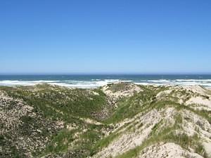 Oceano dunes