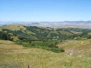 Rolling green hills of the California Central Coast