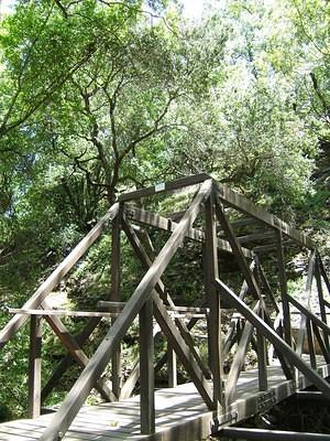 Wooden Poly Canyon bridge