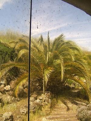 Looking out the Shell House windows