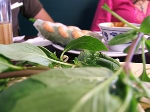 Basil, spring rolls, and Pho