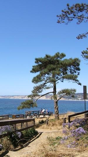 La Jolla cove viewpoint