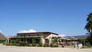 Tasting room and store of LA Cetto Winery