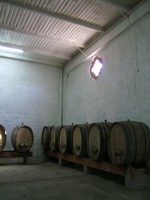 Oval barrels in the LA Cetto Winery warehouse