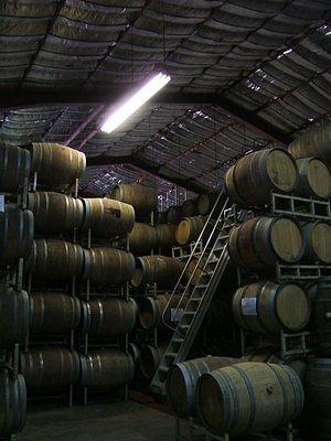 Wine barrels in the warehouse of Monte Xanic