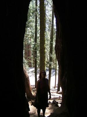 Anna is silhouetted by the tree trunk