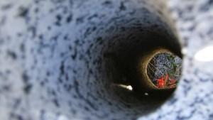 Red flowers at the end of a blasting hole