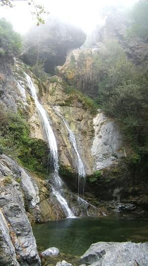 Waterfall and fog at the end of a short trail off highway 1.