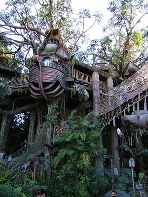 Swiss Family Robinson (something else now?) tree house