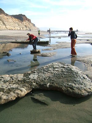 06.01.28 Torrey Pines