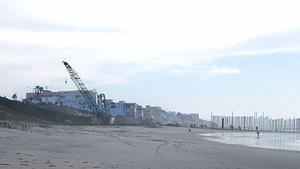 Border Field State Beach