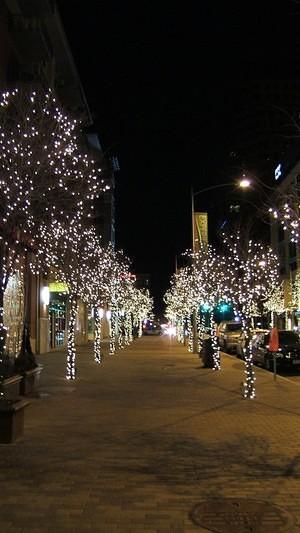 Lights on trees downtown