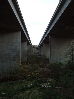 Under the 5 freeway to San Onofre beach