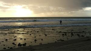 Surfer getting in the water at San Onofre beach.