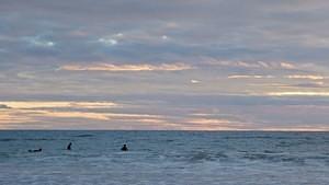 Surfers enjoying the sunset