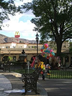 Balloons & signs in the park