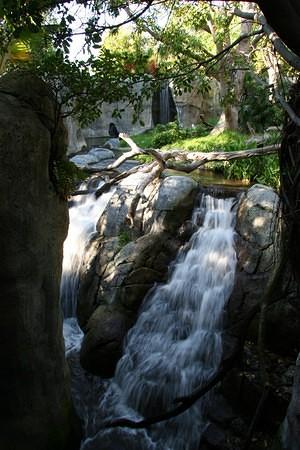 Waterfall at the gorilla exhibit