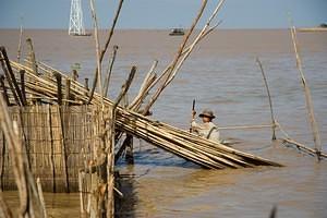 Fixing the fish farm