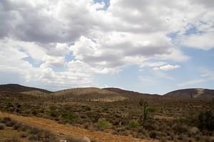 Cactus and desert, Baja