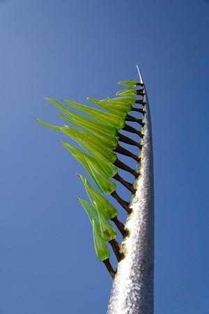 Gree glass leaves on an urban tree