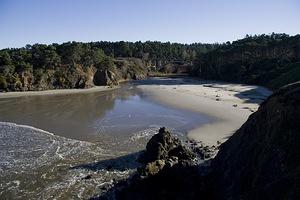 Jug Handle State Reserve