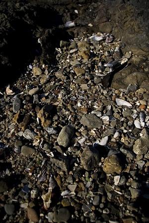 Glass beach at Fort Bragg