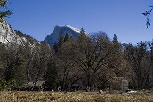 Deer wandering near park HQ, Half Dome in the distance