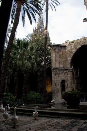 Cloister geese