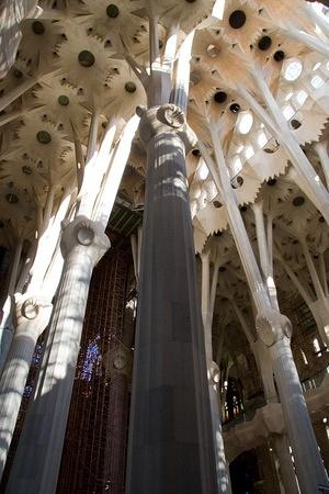 Sagrada Família's columns and roof