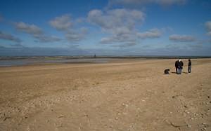 Juno Beach