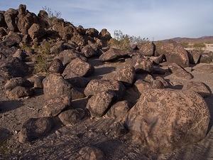 A mix of Hohokam and Archaic petroglyphs