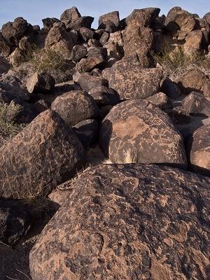 Petroglyphs carved into the basalt boulders