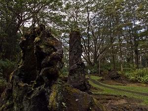 Lava Tree State Park